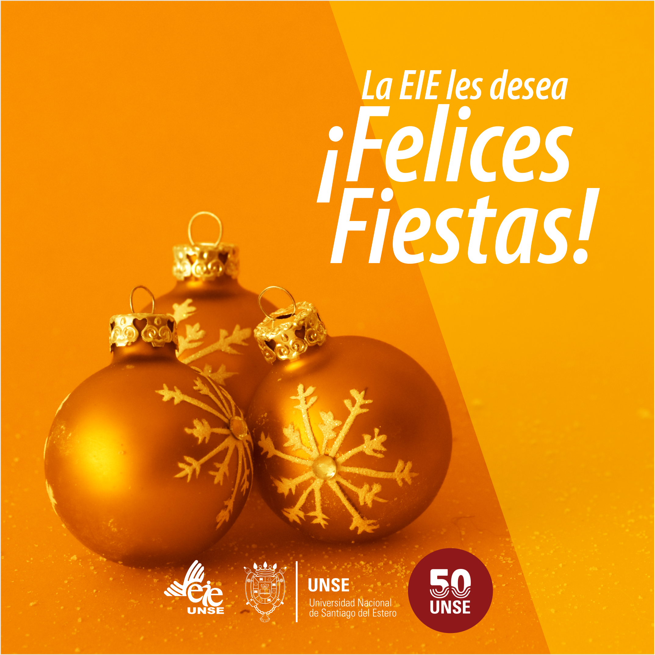 ¡Felices Fiestas!