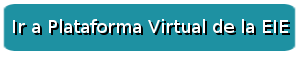Ingresar en la Plataforma Virtual